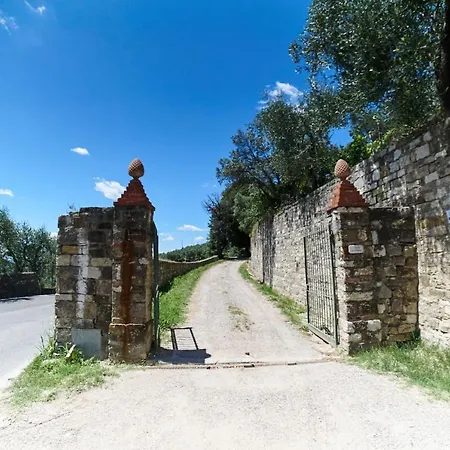 Apparita